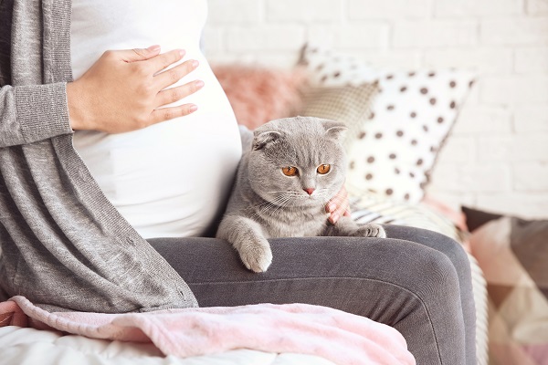 нельзя играть с котами - самое дикое суеверие о беременности